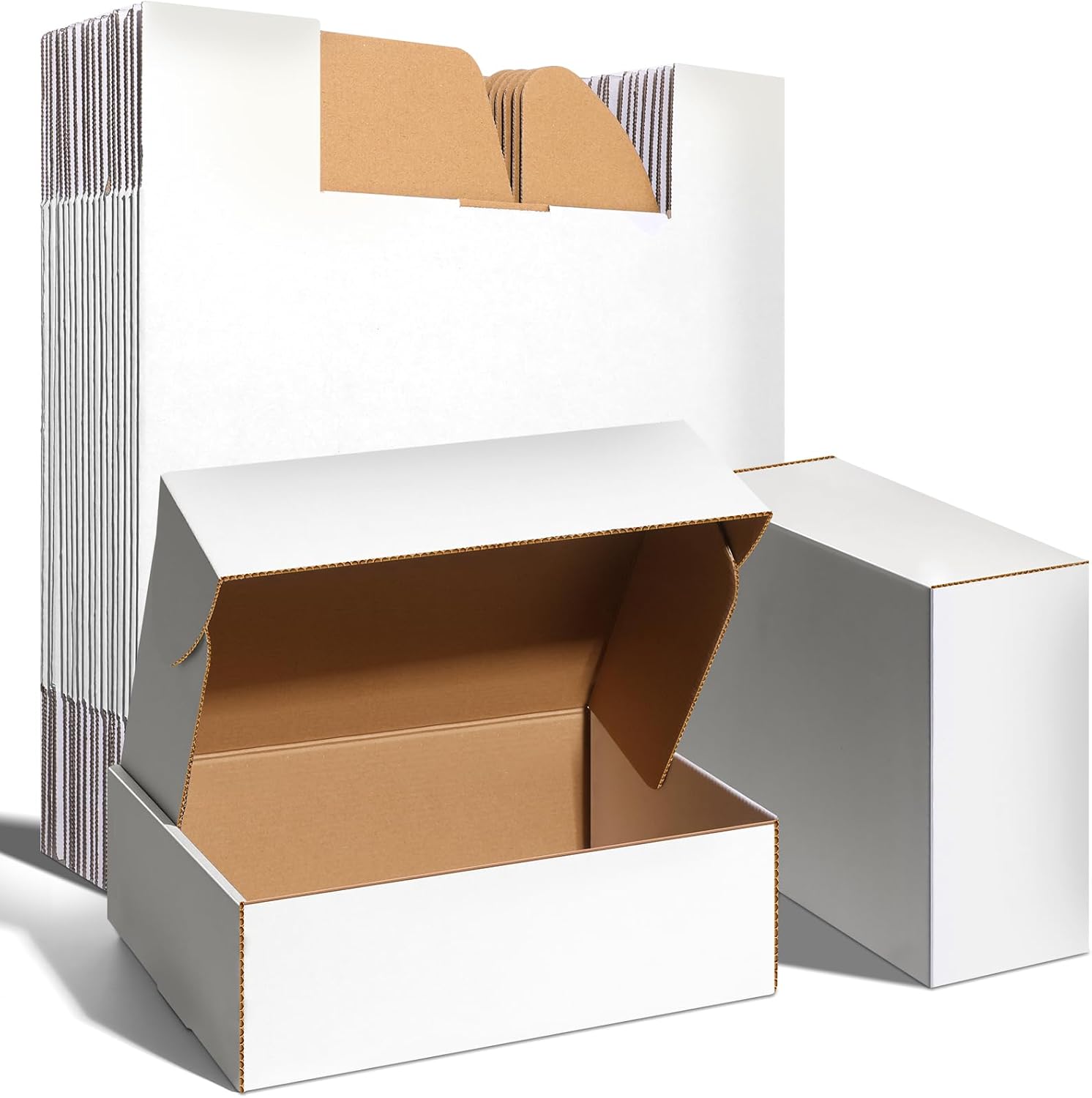 Custom Master Carton with Inlay